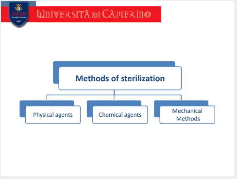 PUBLIC-HEALTH-AND-PREVENTION-sterilization-3